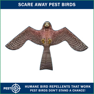 PESTEZE® Flying Hawk 54 x 30 Inch Kite Bird Scarer with 13 ft Flagpole. Use in Yards & Farms to Protect Vegetables, Fruits, Crops & Buildings from Pest Birds & Critters without Harming them