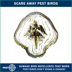 PESTEZE® Large Angel Stainless Steel Highly Reflective Decorative 3D Wind Spinner for Repelling Unwanted Birds & Critters. 11 x15  Inch Premium Shiny, Beautiful & Everlasting Bird Repellent.