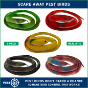 PESTEZE® USA Snake Decoy 5-Pack Inflatable Snakes – Realistic Variety 27 in. Design Helps Deter Pest Birds & Critters from Pool, Garden, Lawn & Yards; Lightweight Fake Reptile for Safe Property