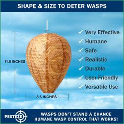 PESTEZE® USA Brown Waterproof Hanging Wasp Decoy Nest [2 Pack] Deters Several Wasp, Hornet & Yellow Jacket Species by Simulating Enemy Hives.