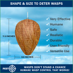 1 Pack PESTEZE® Hanging Wasp Nest Decoy [11.8 x 8.6 Inch] Deters Several  Wasp, Hornet & Yellow Jacket Species without Harsh Chemicals by Simulating Enemy Hives.