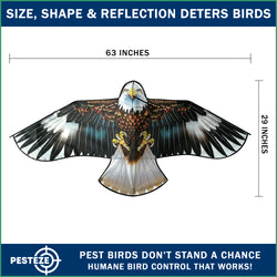PESTEZE® USA Huge Blue Eagle Kite [63x29 Inch Kite with 13 Ft Flagpole] Provides Humane Bird Deterrence in Yards & Farms. Protects Vegetables, Fruits & Crops from Pest Birds & Critters