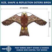 PESTEZE® USA Hawk Kite [47x27 Inch Kite with 13 Ft Flagpole] Provides Humane Bird Deterrence in Yards & Farms. Protects Vegetables, Fruits & Crops from Pest Birds & Critters