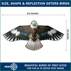 PESTEZE® USA Huge Blue Eagle [63x29 Inch]. EZ & Fun to Fly. Also provides Humane Bird Deterrence in Yards & Farms. Protects Vegetables, Fruits & Crops from Pest Birds & Critters