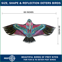 PESTEZE® USA Huge Red Eagle Kite [60x28 Inch] EZ & Fun to Fly. Also Provides Humane Bird Deterrence in Yards & Farms. Protects Vegetables, Fruits & Crops from Pest Birds & Critters