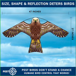 PESTEZE® USA Hawk Kite [47x27 Inch Kite with 13 Ft Flagpole] Provides Humane Bird Deterrence in Yards & Farms. Protects Vegetables, Fruits & Crops from Pest Birds & Critters