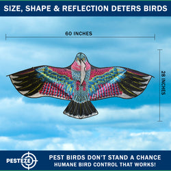 PESTEZE® USA Huge Red Eagle Kite [60x28 Inch Kite with 13 Ft Flagpole] Provides Humane Bird Deterrence in Yards & Farms. Protects Vegetables, Fruits & Crops from Pest Birds & Critters