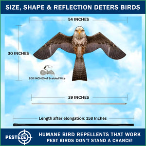 PESTEZE® MULTI-COLORED Flying Eagle 4 54 x 30 Inch Kite Bird Deterrent with 13 ft Flagpole. Use in Yards & Farms to Protect Vegetables, Fruits & Crops from Pest Birds & Critters without Harming them