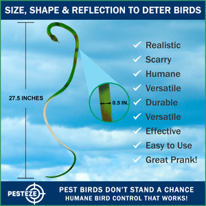 PESTEZE® Variety 39 & XXX Inch Realistic Inflatable Snakes [3 Pack Multi-Color] Scares Pest Birds like Ducks Woodpeckers, Sparrows, Pigeons, Crows, Gulls & Critters from Pools & Yards without Harming them to Protect Property