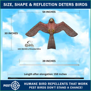PESTEZE® Flying Hawk 54 x 30 Inch Kite Bird Scarer with 13 ft Flagpole. Use in Yards & Farms to Protect Vegetables, Fruits, Crops & Buildings from Pest Birds & Critters without Harming them