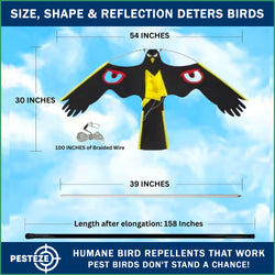 PESTEZE® Black Flying Hawk 54 x 30 Inch Kite with Predator Eyes & 13 ft Flagpole to Deter Birds. Use in Yards & Farms to Protect Vegetables, Fruits, Crops & Property from Pest Birds & Critters without Harming them