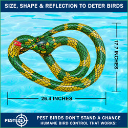 PESTEZE® USA 27 Inch Inflatible Snake [2 Pack - 1 Curly Yellow-Green + 1 Brown] Predators Pest Birds  like Woodpeckers, Sparrows, Pigeons, Crows, Gulls & Critters from Pools & Yards without Harming them to Protect Property