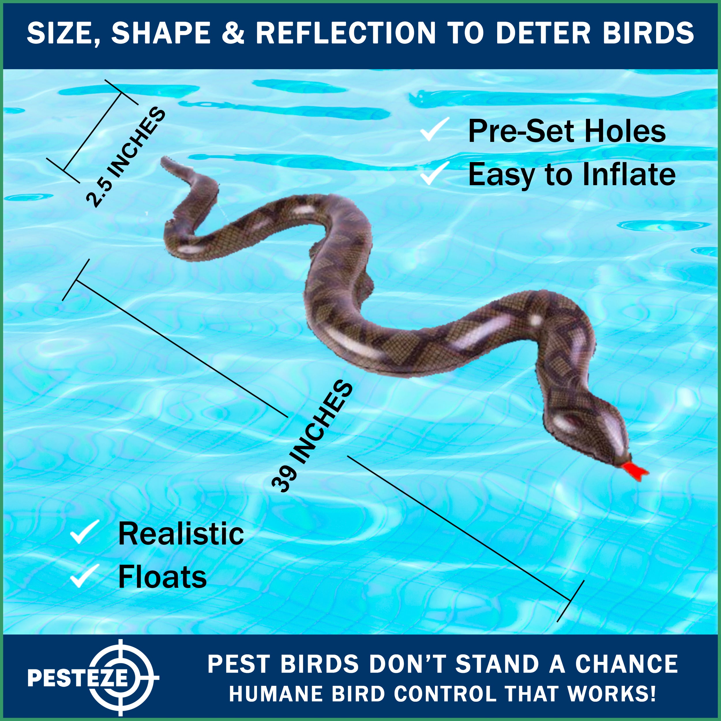 PESTEZE® USA 27 Inch Inflatible Snake [2 Pack - 1 Curly Yellow-Green + 1 Brown] Predators Pest Birds  like Woodpeckers, Sparrows, Pigeons, Crows, Gulls & Critters from Pools & Yards without Harming them to Protect Property