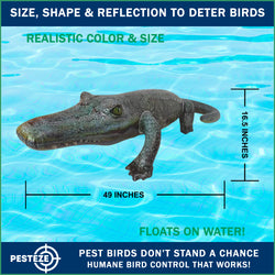 PESTEZE® 49 Inch Realistic Inflatable Alligator [1 Pack] Scares Pest Birds like Woodpeckers, Sparrows, Pigeons, Crows, Gulls & Critters from Pools & Yards without Harming them to Protect Property