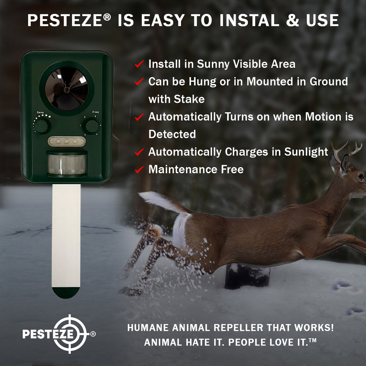 PESTEZE® Solar Ultrasonic Animal Repellent. Detects & Deters Unwanted Animals like Skunk, Deer, Coyote, Fox, Wolf, Rabbitt, Raccoon & Birds. Protect Property & Livestock without Harming Animals or People - Pesteze