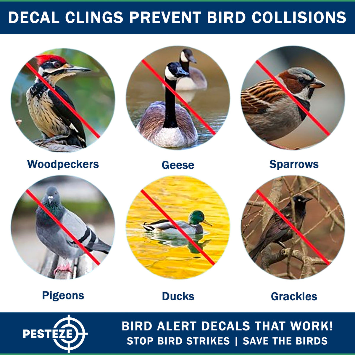 PESTEZE® USA UV Reflective Window Bird Decals–Anti Collision Static Cling Stickers for Windows to Prevent Birds from Hitting Glass–Removable, 16 Pack Window Alert Clings – Humane Bird Strike Prevention