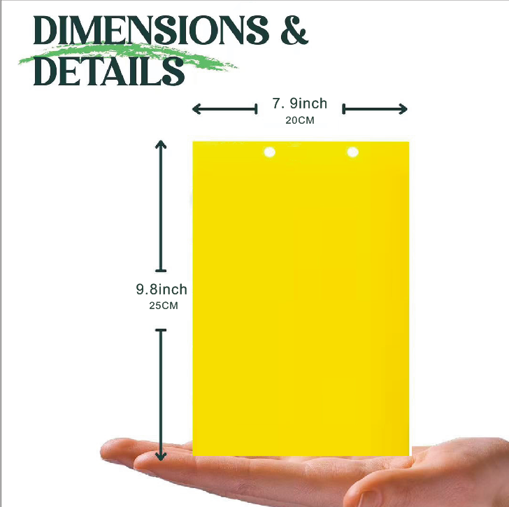 BUGEZE® USA Round Yellow Double Sided Sticky Flying Insect Traps [20 Pack- 10 cm]
