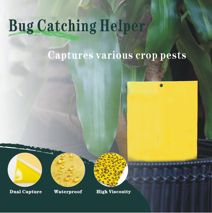 BUGEZE® USA Round Yellow Double Sided Sticky Flying Insect Traps [20 Pack- 10 cm]