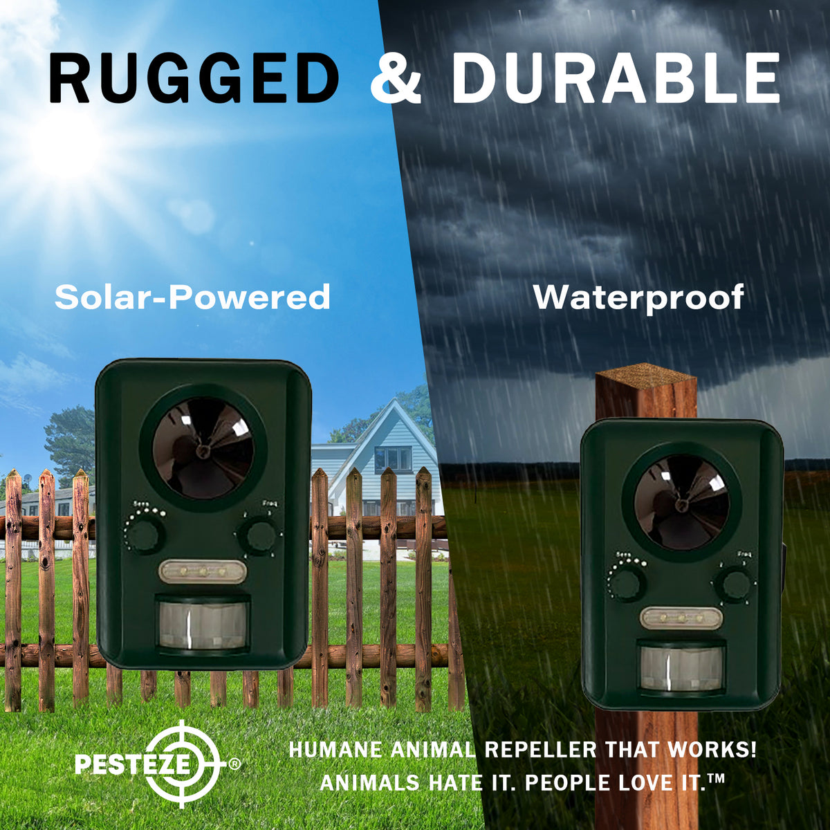 PESTEZE® Solar Ultrasonic Bird Repeller. Detects & Deters  Pest Birds like Woodpeckers, Pigeons, Crows, Ducks, Geese & Critters from Yards using Ultrasonic Sounds. Does not Harm Birds or People - Pesteze