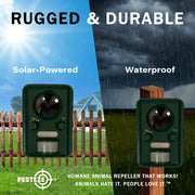 PESTEZE® Solar Ultrasonic Bird Repeller. Detects & Deters  Pest Birds like Woodpeckers, Pigeons, Crows, Ducks, Geese & Critters from Yards using Ultrasonic Sounds. Does not Harm Birds or People - Pesteze