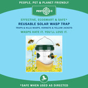 PESTEZE® USA Reusable Solar Hanging Wasp Trap with LED Light [Green: 3.5 x 4.4 Inch] Attracts, & Kills Wasp, Hornet, Yellow Jacket & Insect Species 24/7 Without Harsh Chemicals– Waterproof Outdoor Trap
