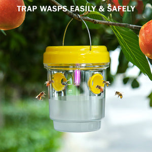 2 Pack PESTEZE® Reusable Solar Hanging Wasp Trap with LED Light [Yellow: 3.5 X 4.4 Inch] Attracts, Catches & Kills Wasp, Hornet, Yellow Jacket & Insect Species 24/7 without Harsh Chemicals. Waterproof