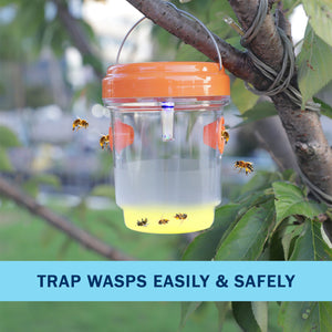 PESTEZE® Reusable Solar Hanging Wasp Trap with LED Light [Orange: 3.5 X 4.4 Inch] Attracts, Catches & Kills Wasp, Hornet, Yellow Jacket & Insect Species 24/7 without Harsh Chemicals. Waterproof