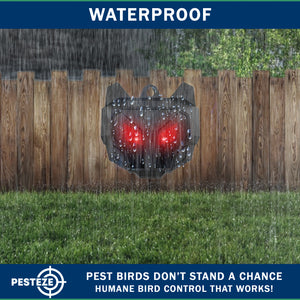 2 Pack PESTEZE® Reusable Solar Nocturnal Animal Repeller. Flickering Red Light Deters Unwanted Animals like Skunk, Deer, Coyote, Fox, Wolf, Rabbit, Raccoon & Birds to Protect Property & Livestock