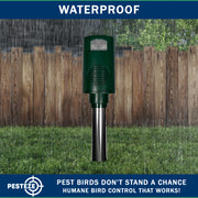 PESTEZE® Battery Bird Sound Repeller. Detects & Deters Pest Birds with Predator Sounds without Harming them to Protect Property. Use to Repel Woodpeckers, Pigeons, Crows, Ducks, Geese & Critters - Pesteze