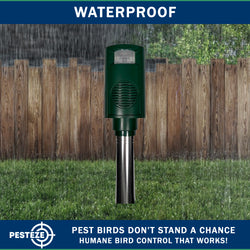PESTEZE® Battery Bird Sound Repeller. Detects & Deters Pest Birds with Predator Sounds without Harming them to Protect Property. Use to Repel Woodpeckers, Pigeons, Crows, Ducks, Geese & Critters - Pesteze