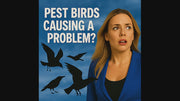 PESTEZE® USA Battery Bird Sound Repeller – Sonic Predator-Call Repellent to Deter Pest Birds, Woodpeckers, Pigeons, Crows, Ducks & Small Animal Intruders; Outdoor Motion-Triggered Ultra-Noise Device