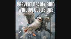 PESTEZE® Colorful Hummingbirds Anti Collision Static Cling Decals for Windows to Prevent Wild Bird Strikes [38 Decals/9 Pages] Bird Alert Window Decals Save Birds from Window Collisions & Help them Soar