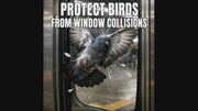 PESTEZE® USA Window Bird Stickers 19 Pack–Rainbow Leaf Medley Static Clings for Windows–Anti-Collision Decal Set to Prevent Wild Birds from Hitting Glass and Reduce Strike Accidents Indoors or Sunrooms
