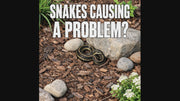 PESTEZE® USA Solar Snake & Rodent Sound Deterrent – Audible Sonic Pulses Deter Snakes, Moles, Voles, Gopher Tunnels, Groundhog, Chipmunk, & Burrowing Pests; Outdoor Powered Repeller for Yards & Gardens