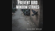 PESTEZE® USA Premium Window Bird Decals-Rainbow Leaf & Bird Anti Collision Static Cling Stickers for Windows to Prevent Wild Birds from Striking & Hitting Glass–32 Pack Sun Catcher Window Alert Clings