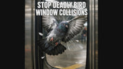 PESTEZE® USA UV Reflective Window Bird Decals–Anti Collision Static Cling Stickers for Windows to Prevent Birds from Hitting Glass–Removable, 16 Pack Window Alert Clings – Humane Bird Strike Prevention