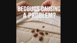 4 Pack PESTEZE® Reusable Bed Bug Insect Trap, Monitor &amp; Detector for Bed Posts &amp; Furniture Legs [6 x 1.5 Inch] Intercepts &amp; Protects against Bed Bugs without Harsh Chemicals