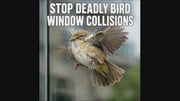 PESTEZE® USA White Hummingbirds Anti Collision Static Cling Decals for Windows to Prevent Wild Bird Strikes [37 Decals/9 Pages] Stickers to Keep Birds Safe from Glass Collisions & Protect Home Windows