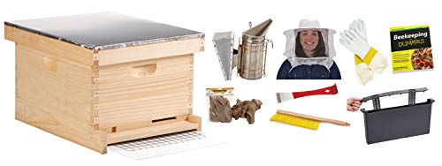 10-Frame Deluxe Beginner Hive Kit - Little Giant - Premium Beekeeping Starter Kit for Beginners (Item No. HIVE10KIT)