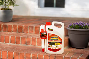 Spectracide Bug Stop Home Barrier, Kills Ants, Roaches and Spiders On Contact, Indoor and Outdoor Insect Control, 1.33 Gallon (RTU Accushot Spray), Plain