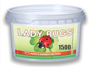 1500 Live Ladybugs - Hippodamia Convergens - Guaranteed Live Deliver - Plastic Container for Moth (1500)