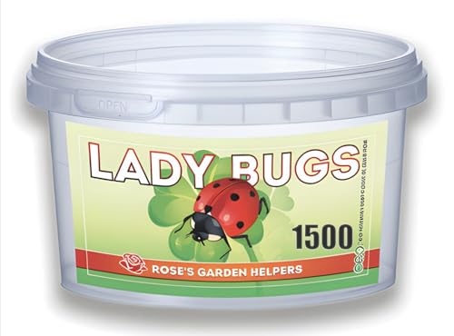 1500 Live Ladybugs - Hippodamia Convergens - Guaranteed Live Deliver - Plastic Container for Moth (1500)