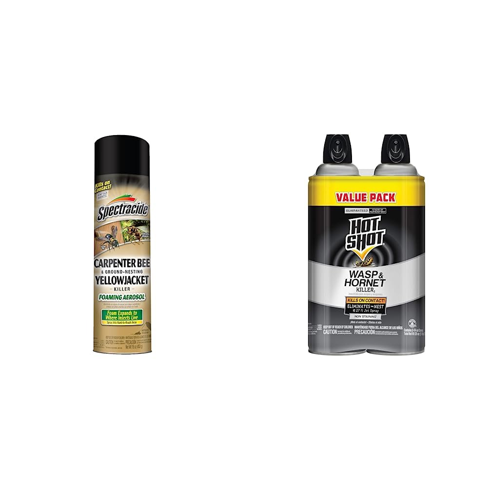 Spectracide Carpenter Bee and Ground Nesting Yellow Jacket Foaming Aer ...