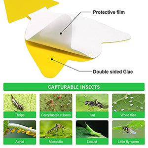 36 Pcs Sticky Traps for Fruit Fly, Whitefly, Fungus Gnat, Mosquito and Bug, Yellow, Insect Catcher Traps for Indoor/Outdoor/Kitchen, Extremely Sticky Trap, Non-Toxic, 4 Shapes