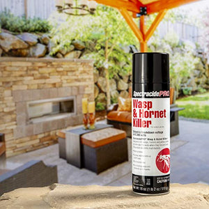 Spectracide PRO Wasp & Hornet Killer (Aerosol)(18 oz), Pack of 2, White Can