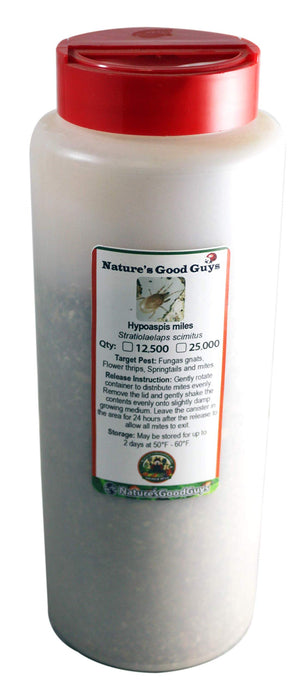 12,500 Live Hypoaspis Miles (Predatory Mites) For Insects - Guaranteed Live Delivery!