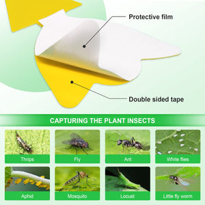 40 Pcs 5 Shapes Yellow Sticky Traps for Fruit Fly, Whitefly, Fungus Gnat, Mosquito and Fly, Insect Catcher Traps for Indoor/Houseplants/Kitchen, Extremely Sticky, Non-Toxic, Pet & Kid Safe