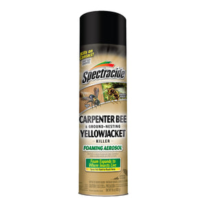 Spectracide Carpenter Bee and Ground Nesting Yellow Jacket Foaming Aerosol for Insects, 16-Ounce & Hot Shot Wasp & Hornet Killer Spray (2 Pack), 17.5 fl Ounce