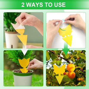 40 Pcs 5 Shapes Yellow Sticky Traps for Fruit Fly, Whitefly, Fungus Gnat, Mosquito and Fly, Insect Catcher Traps for Indoor/Houseplants/Kitchen, Extremely Sticky, Non-Toxic, Pet & Kid Safe