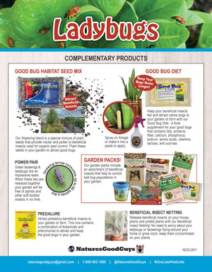 1500 Live Ladybugs - Good Bugs - Ladybugs - Guaranteed Live Delivery!